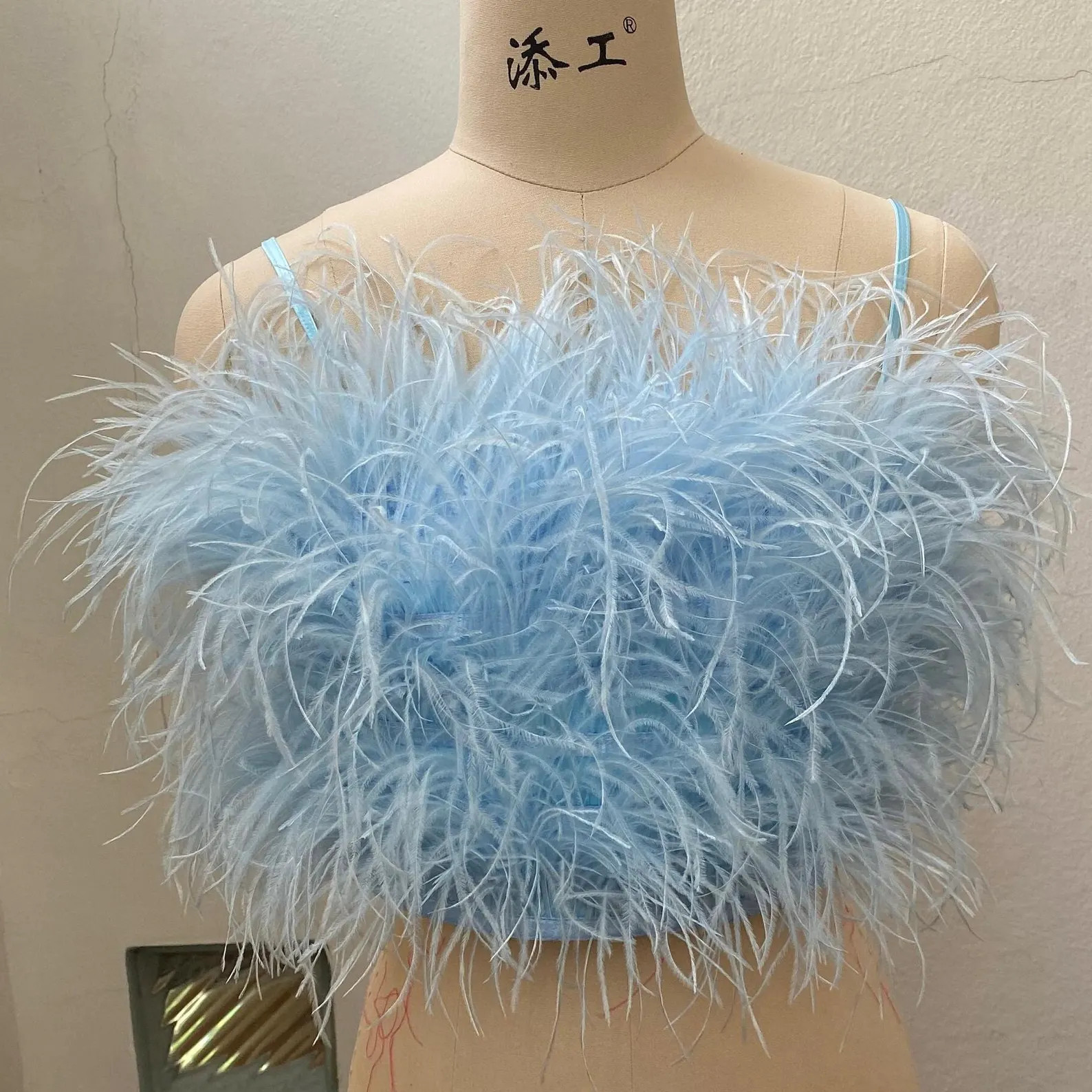 Baby Blue Feather Crop Top for Plus Size,custom Top Gift for Daughter,handmade Crop Top,prom Dres... | Etsy (US)