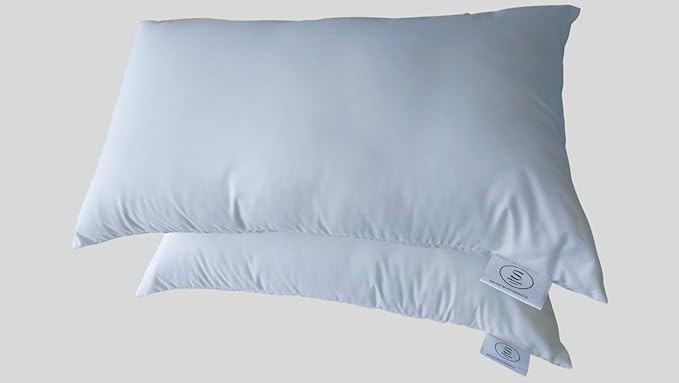 Home 14x24 Decorative Throw Pillow Inserts-Hypoallergenic Microfiber Pillow Inserts -Oblong - Set... | Amazon (US)