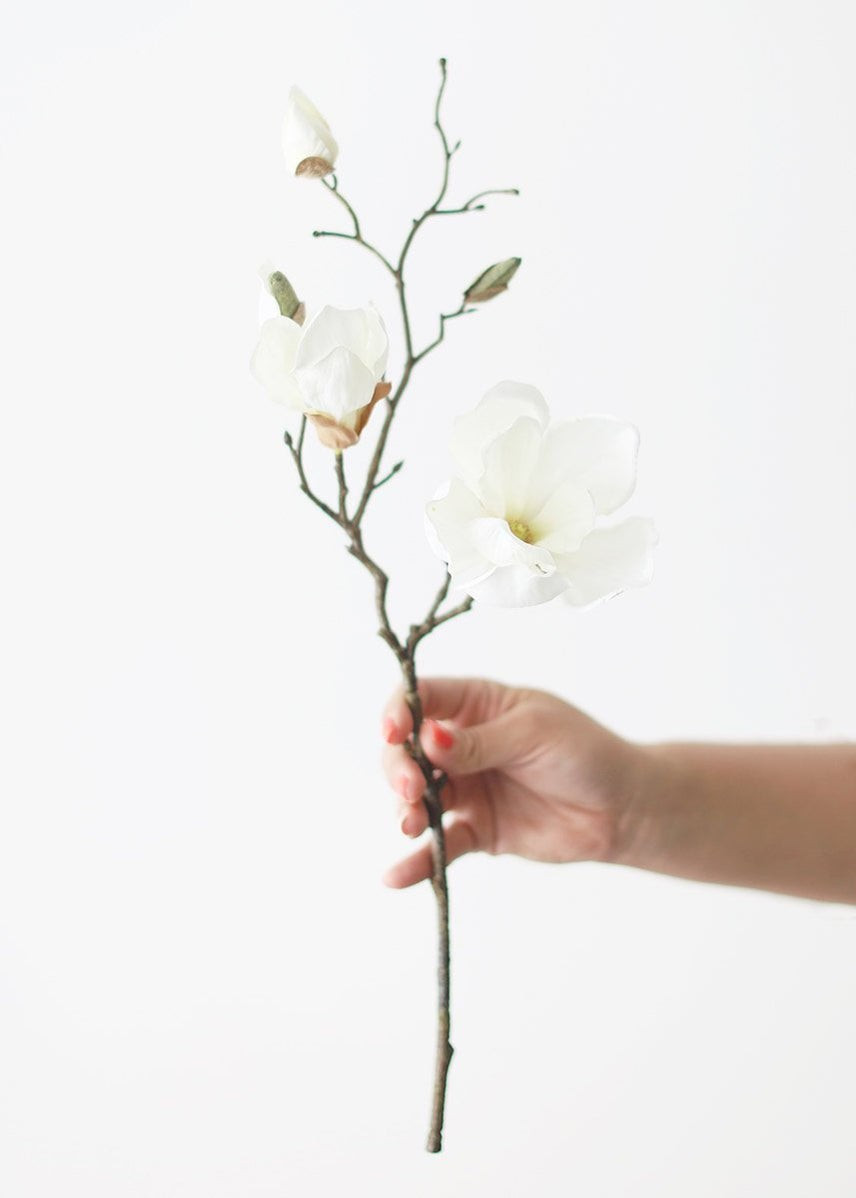Silk Magnolia in Cream White - 19" | Afloral (US)