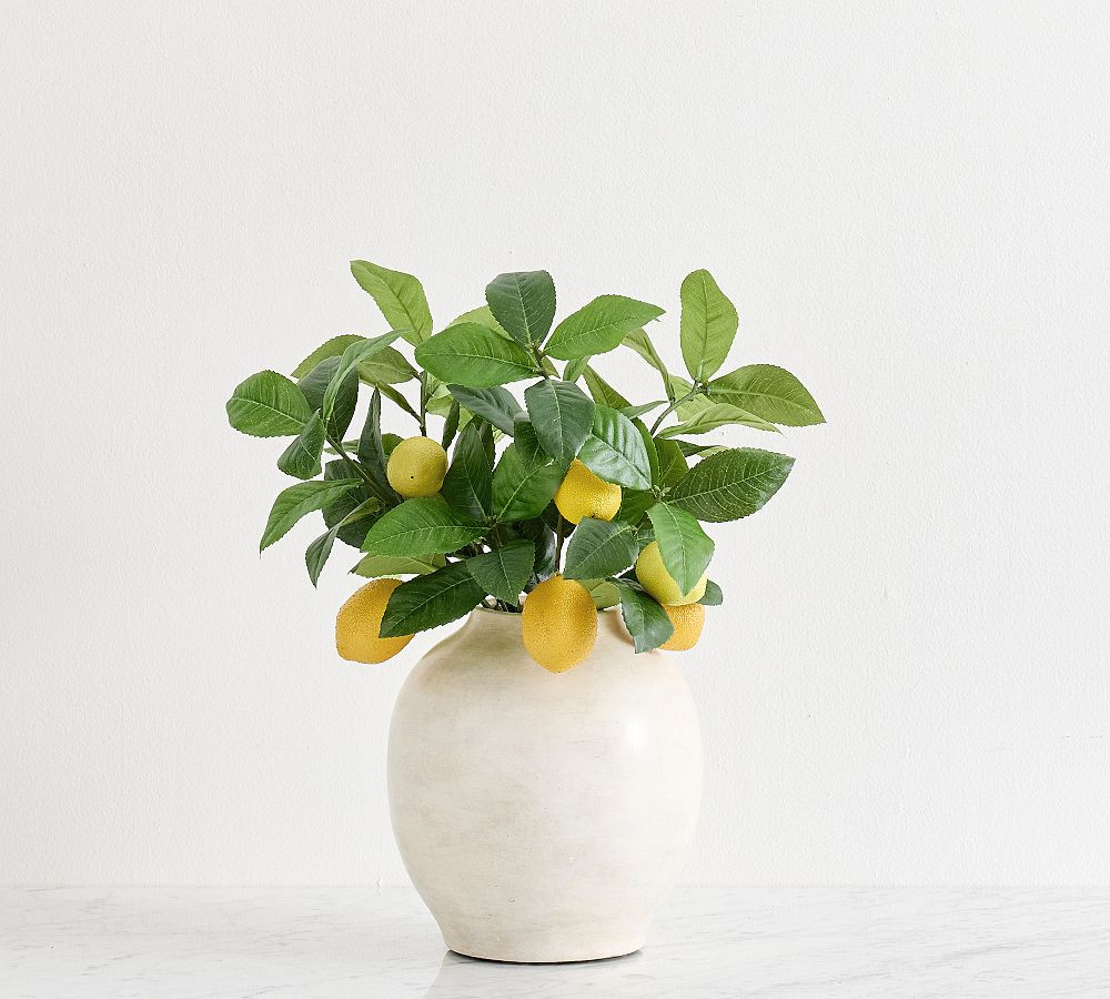 Faux Lemon Bundle | Pottery Barn (US)