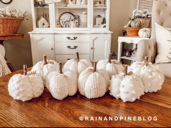 White Chenille Pumpkins Handmade Rustic Fall Decorations - Etsy | Etsy (US)