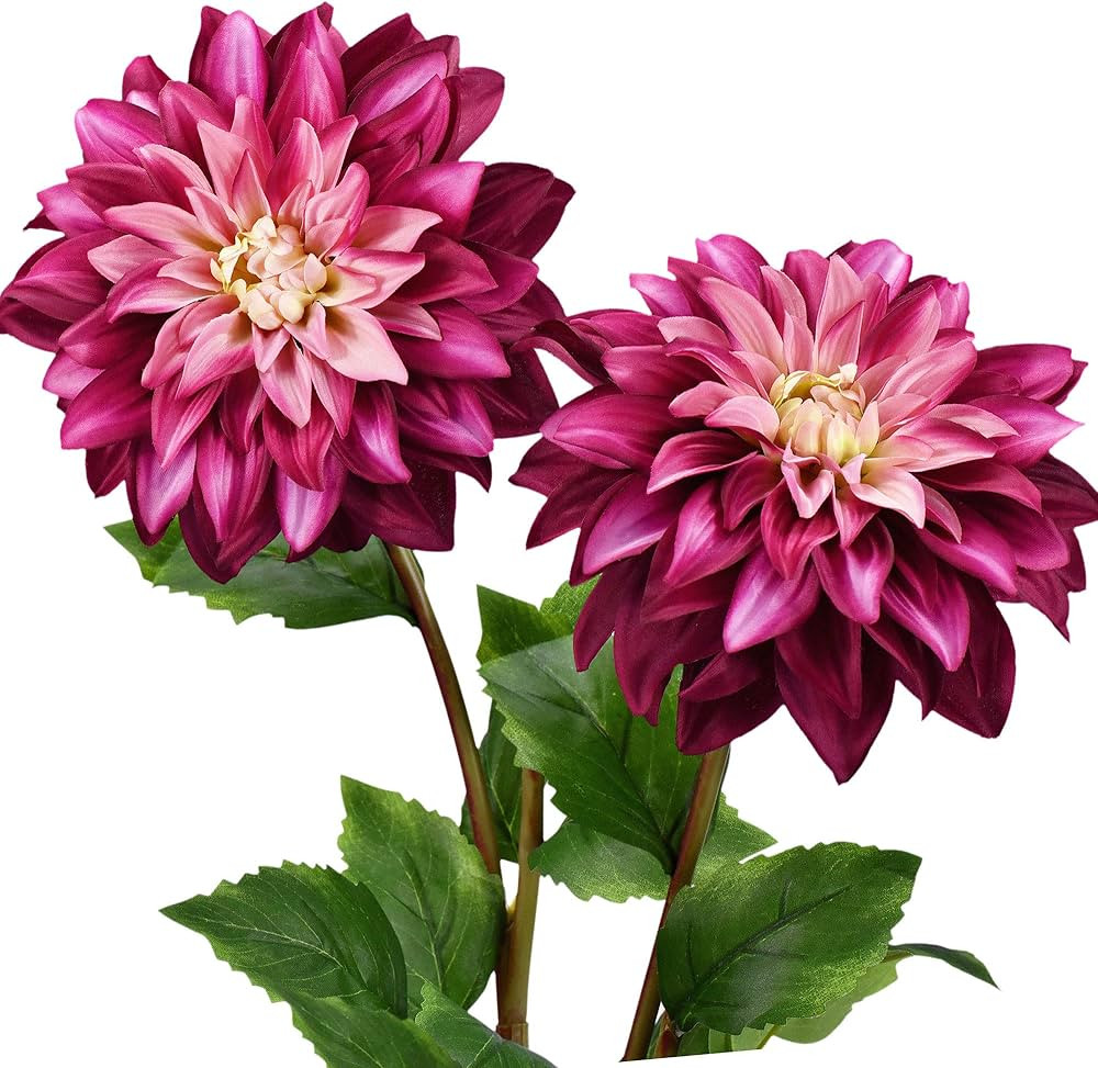 FiveSeasonStuff Artificial Flowers Dahlia Silk Flowers for Outdoors Indoors and Tall Vases 2 Stem... | Amazon (US)