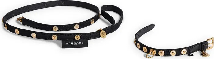 Barocco Dog Collar & Leash Set | Nordstrom