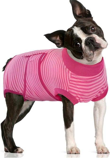 Recovery Suit for Dogs After Surgery,Soft Breathable Dog Bodysuit | E-Collar & Cone Alternative S... | Amazon (US)