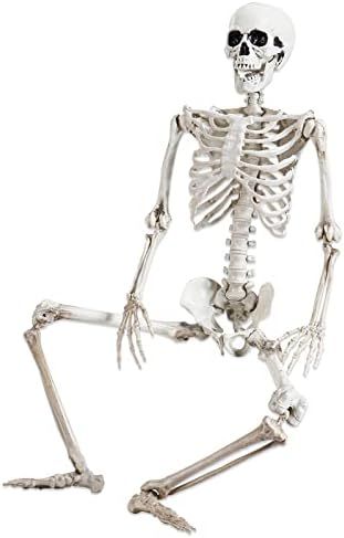 Molandra Products 36" Posable Halloween Skeleton Decorations,Human Bones for Halloween Party with... | Amazon (US)