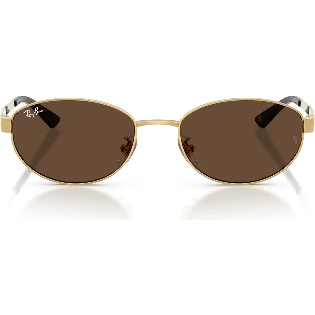 Ray-Ban 55mm Oval Sunglasses in Arista /Dark Brown at Nordstrom | Nordstrom