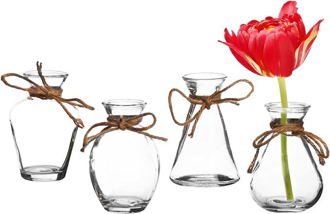 Royal Imports Clear Glass Bottle Bud Vase, Small Single Stem Flower Centerpiece, Mini Decorative ... | Amazon (US)