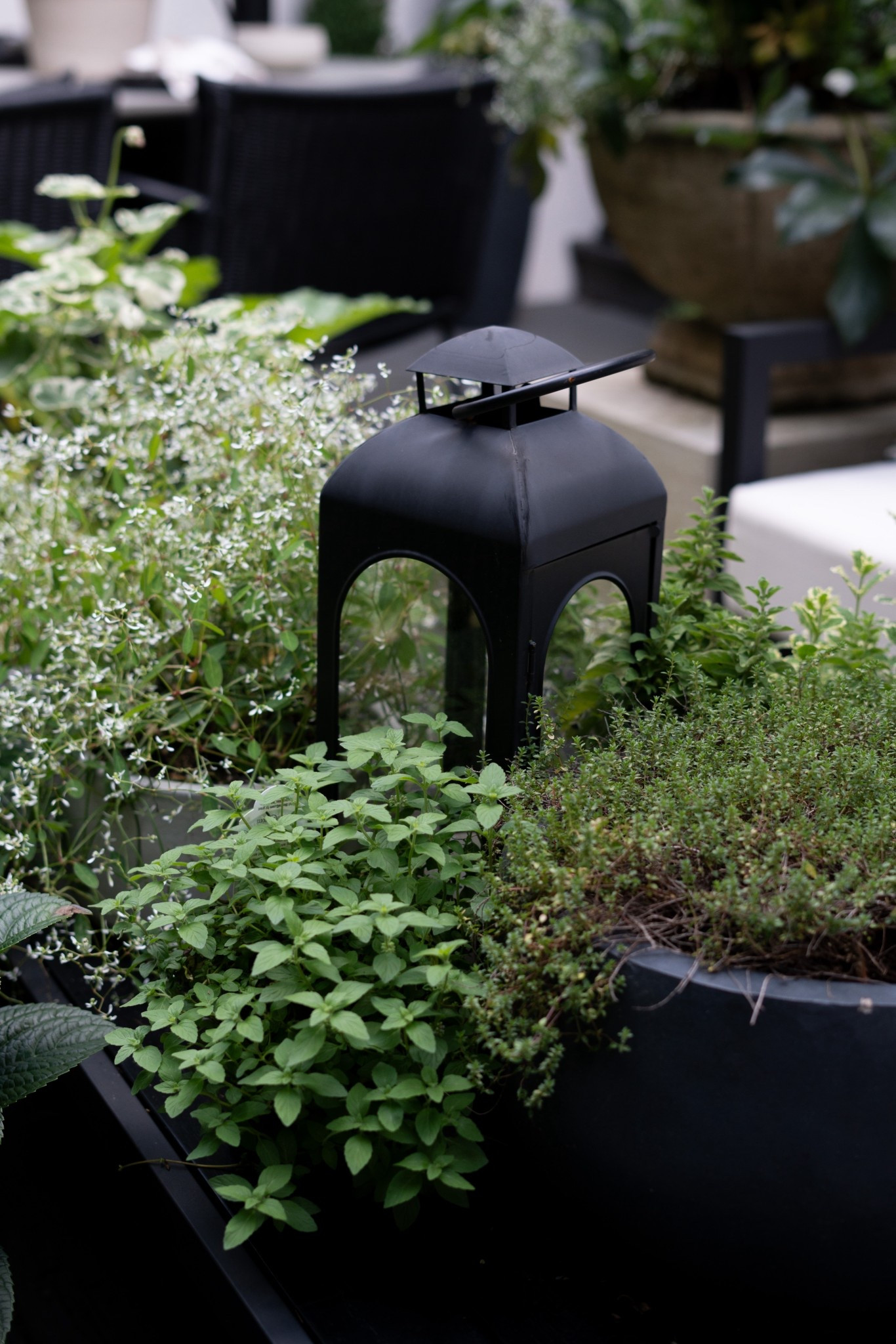 There’s just something magical about an outdoor space that feels like an extension of your home—and this patio is giving all the right vibes! I styled it with classic black and white pieces, layered in cozy textures, and brought it to life with lush greenery and topiary trees. That fountain? It adds the dreamiest sound and makes the whole space feel like a European courtyard. I even tucked in a few veggies and herbs—because why not mix gorgeous and functional? Whether you're hosting friends or sipping coffee solo, this setup is equal parts chic and comfortable.


#LTKStyleTip #LTKHome #LTKSummerEdit