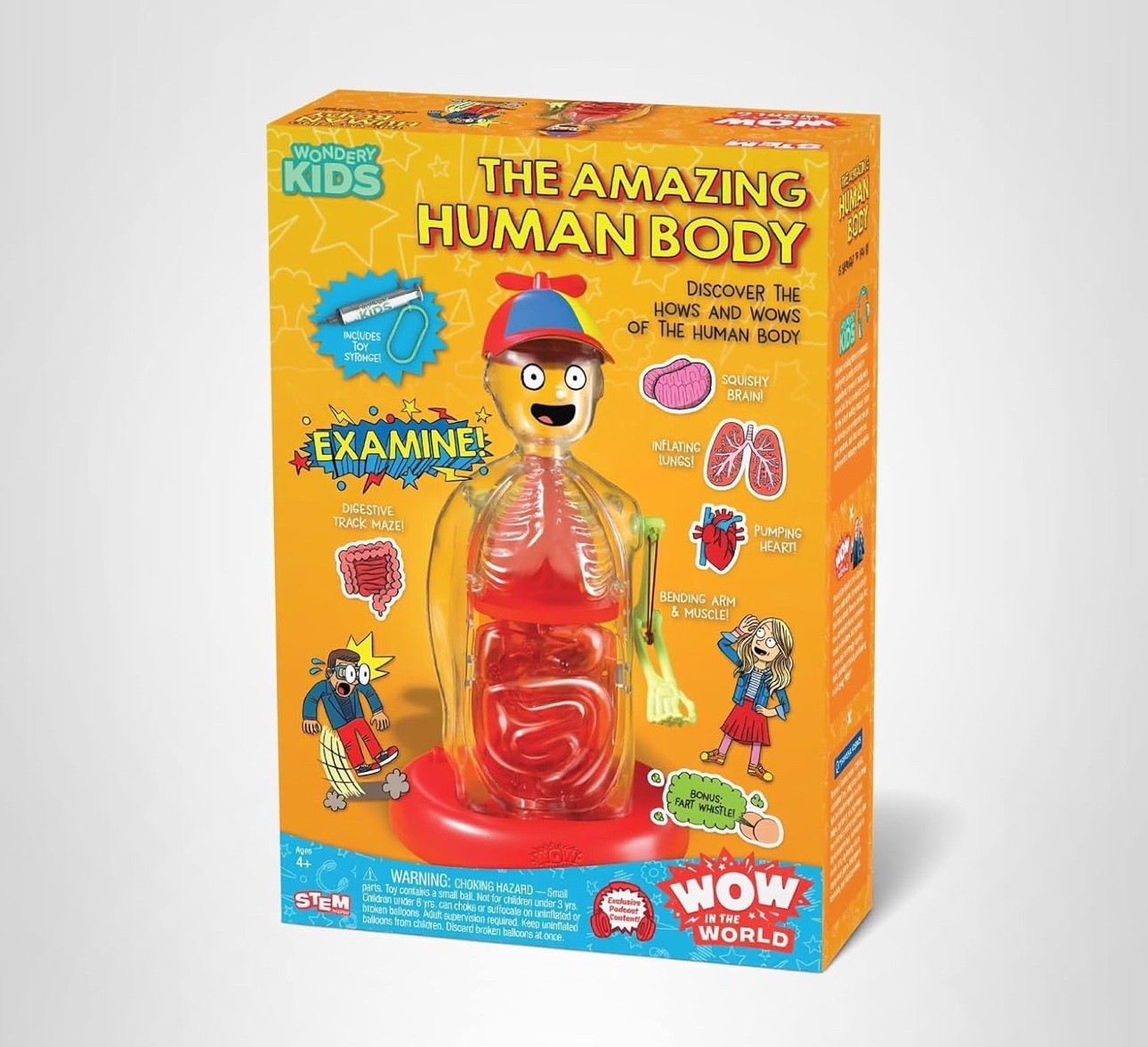 Sale! Wow in The World The Amazing Human Body Kit by Thames & Kosmos, Interactive Mechanical Anatomy Model w/Pumping Heart, Lungs, Digestive Tract, Glow-in-The-Dark Bones, Brain & More, Science for Ages 4+

Kids. Gift ideas  

#LTKKids #LTKSaleAlert #LTKGiftGuide