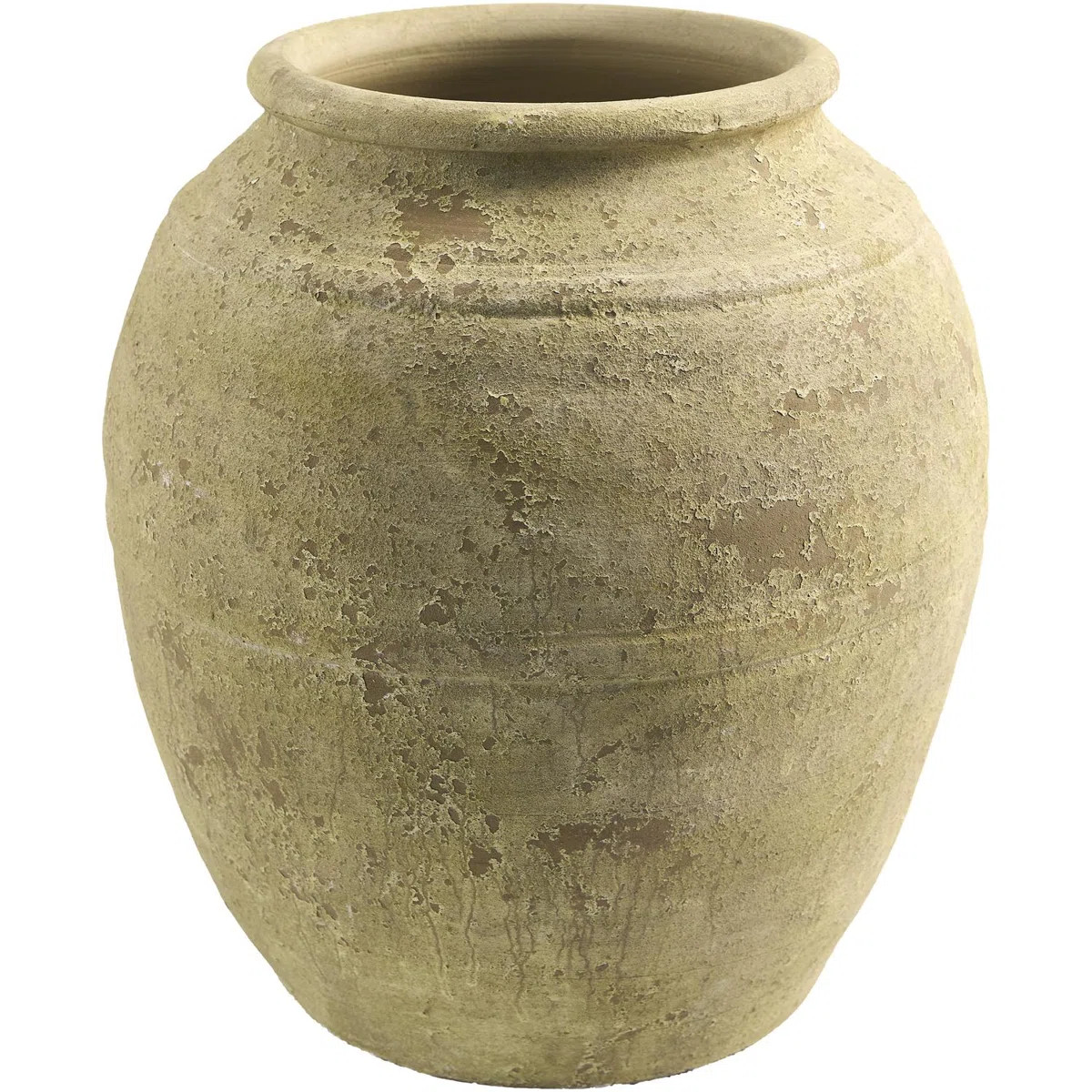 Galey Alix x Livabliss Aarush Vase | Wayfair North America