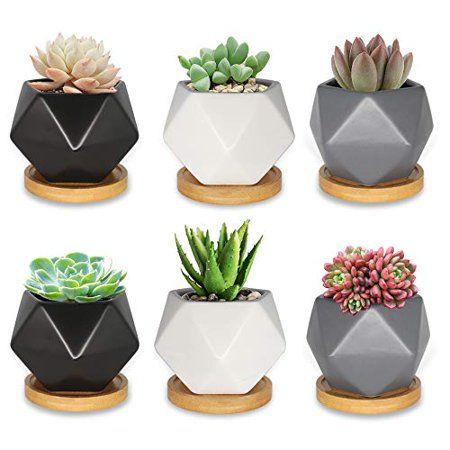 Succulent Pots, Farielyn-X 3.54 Inch Geometric Succulent Planter, Set of 6 Ceramic Succulent Cactus  | Walmart (US)