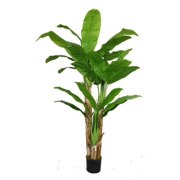 Aislin 72'' Faux Banana Leaf Tree Primrue Home Decor Wayfair Finds Wayfair Deals Wayfair Sales | Wayfair North America