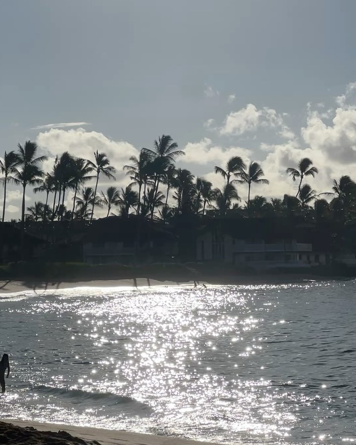 Surfs up!