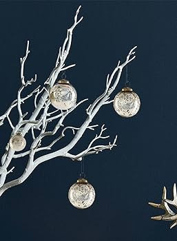 Amazon.com: Serene Spaces Living 12pcs Vintage Style White & Silver Mercury Glass Ornament Set fo... | Amazon (US)