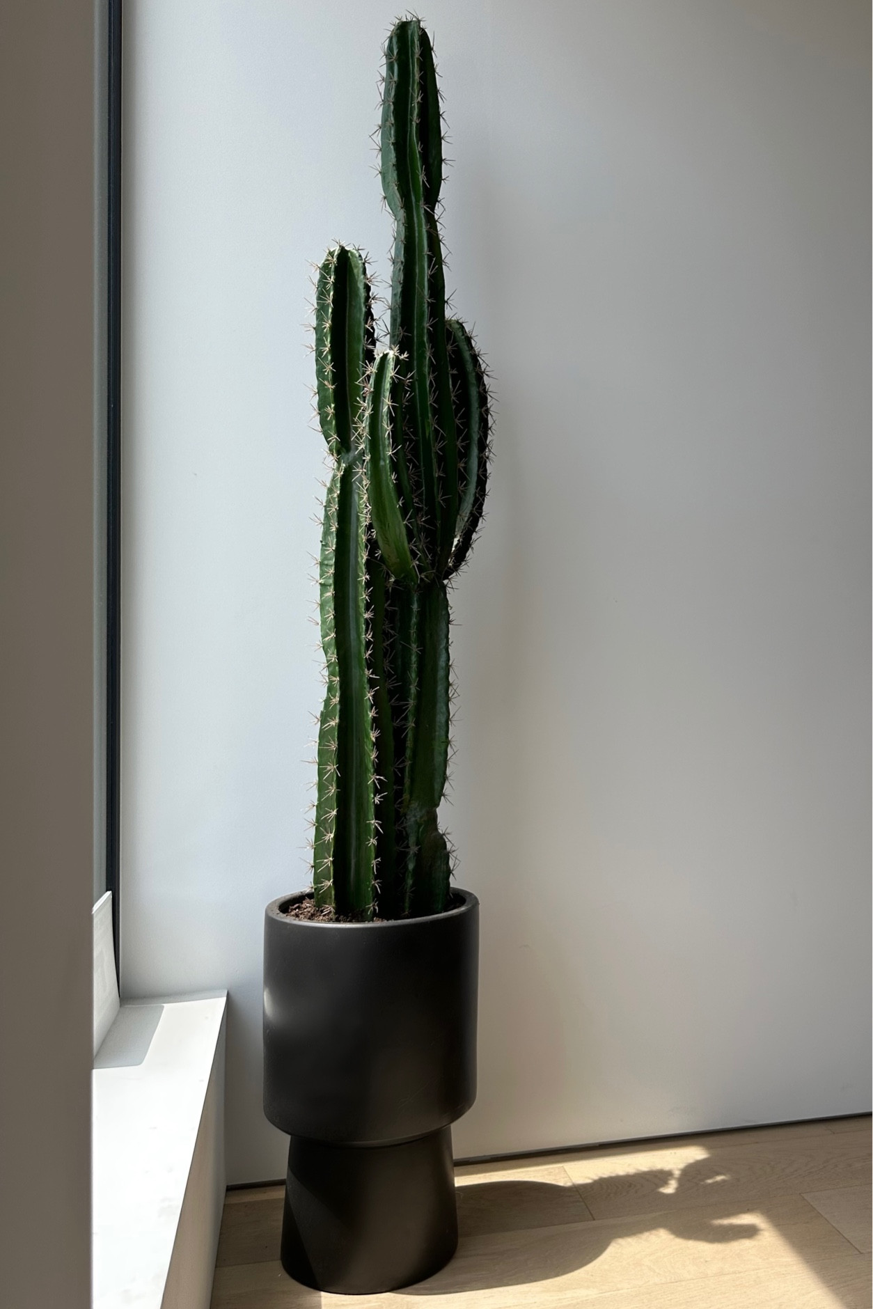 West elm platform planter with faux cactus plant from Cb2. Corner or entryway plant that’s still makes a statement / doesn’t just blend in #crateandbarrel #westelm #decor #fauxplant #cb2

#LTKhome #LTKSeasonal #LTKfamily
