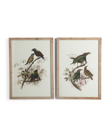 Set Of 2 20x28 Bird Framed Wall Art | TJ Maxx