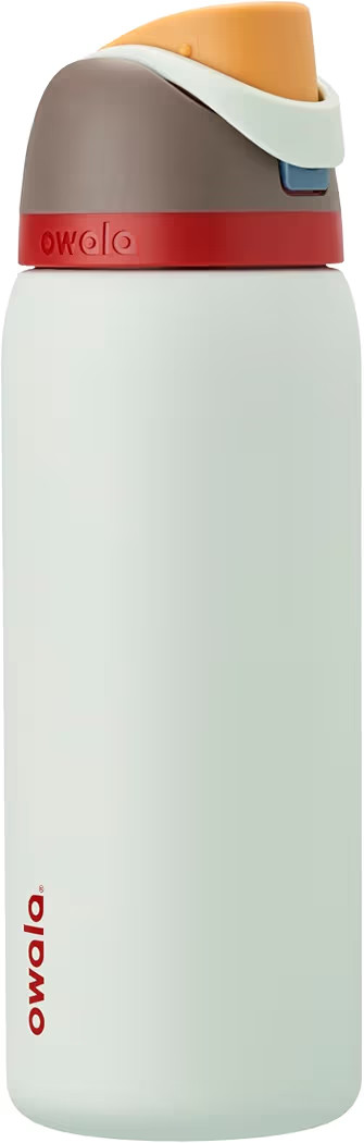Owala FreeSip Stainless Steel Water Bottle 32 oz Boneyard | Amazon (US)