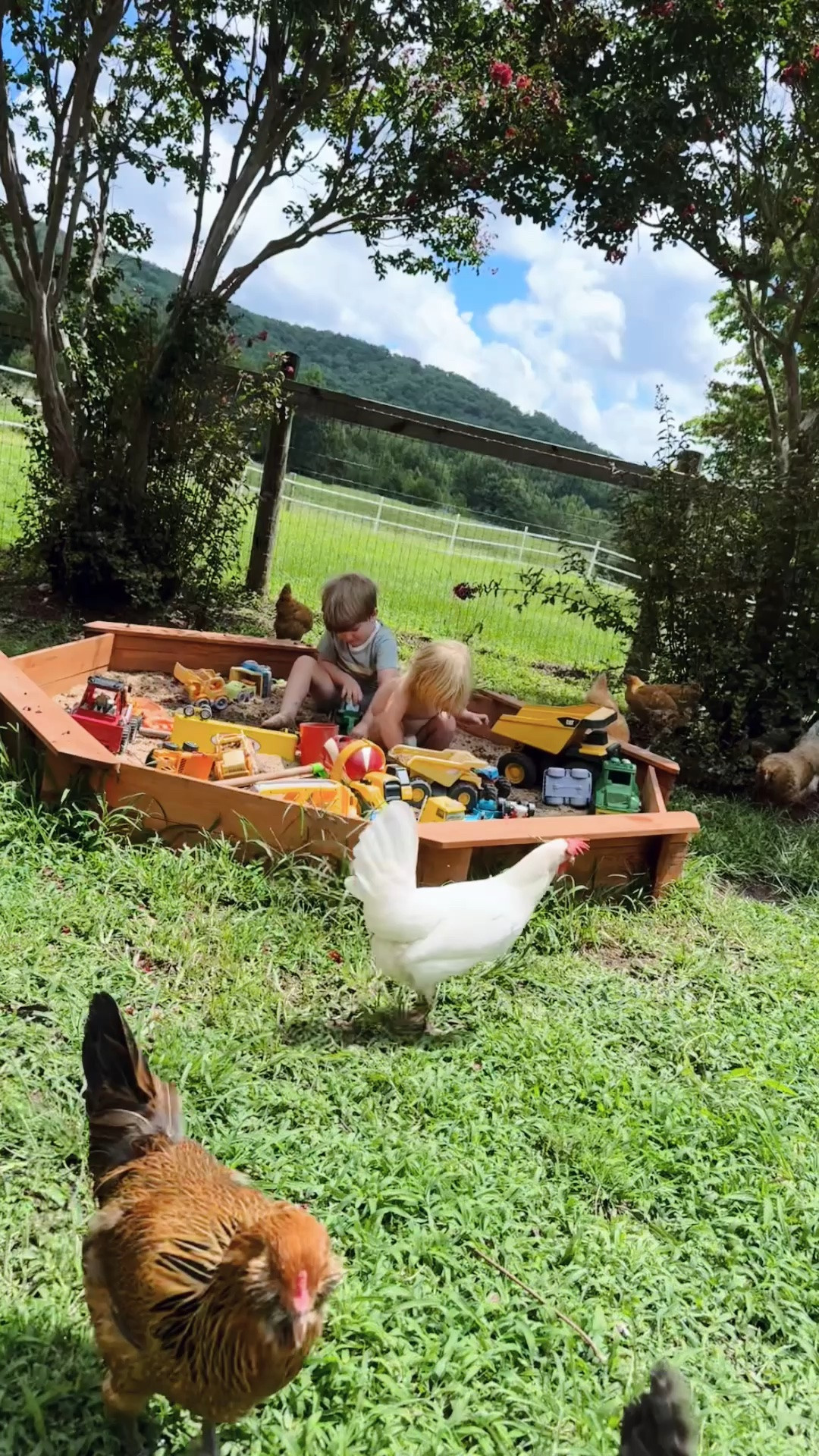 and these little cuties live (!!) diggin’ 🪏🪣🛻 in their sandbox 🪵💛 - and what a view !!! ⛰️🐴🫏