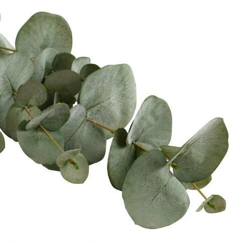Faux Eucalyptus Spray | World Market