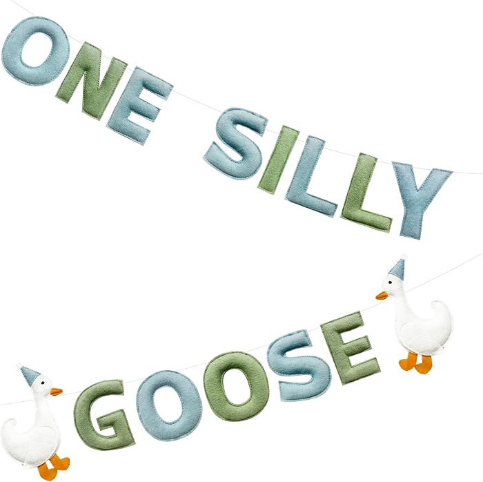 One Silly Goose Birthday Decorations Sage Green Dusty Blue Felt Handmade Pre-Strung 3d Goose 1st ... | Amazon (US)