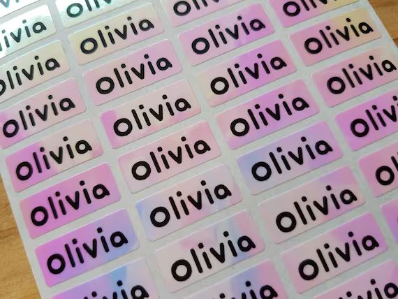 SPECIAL DEAL!!  Pink Hologram Small Name Stickers -Daycare Labels- Kids labels- Small Size- Custo... | Etsy (US)