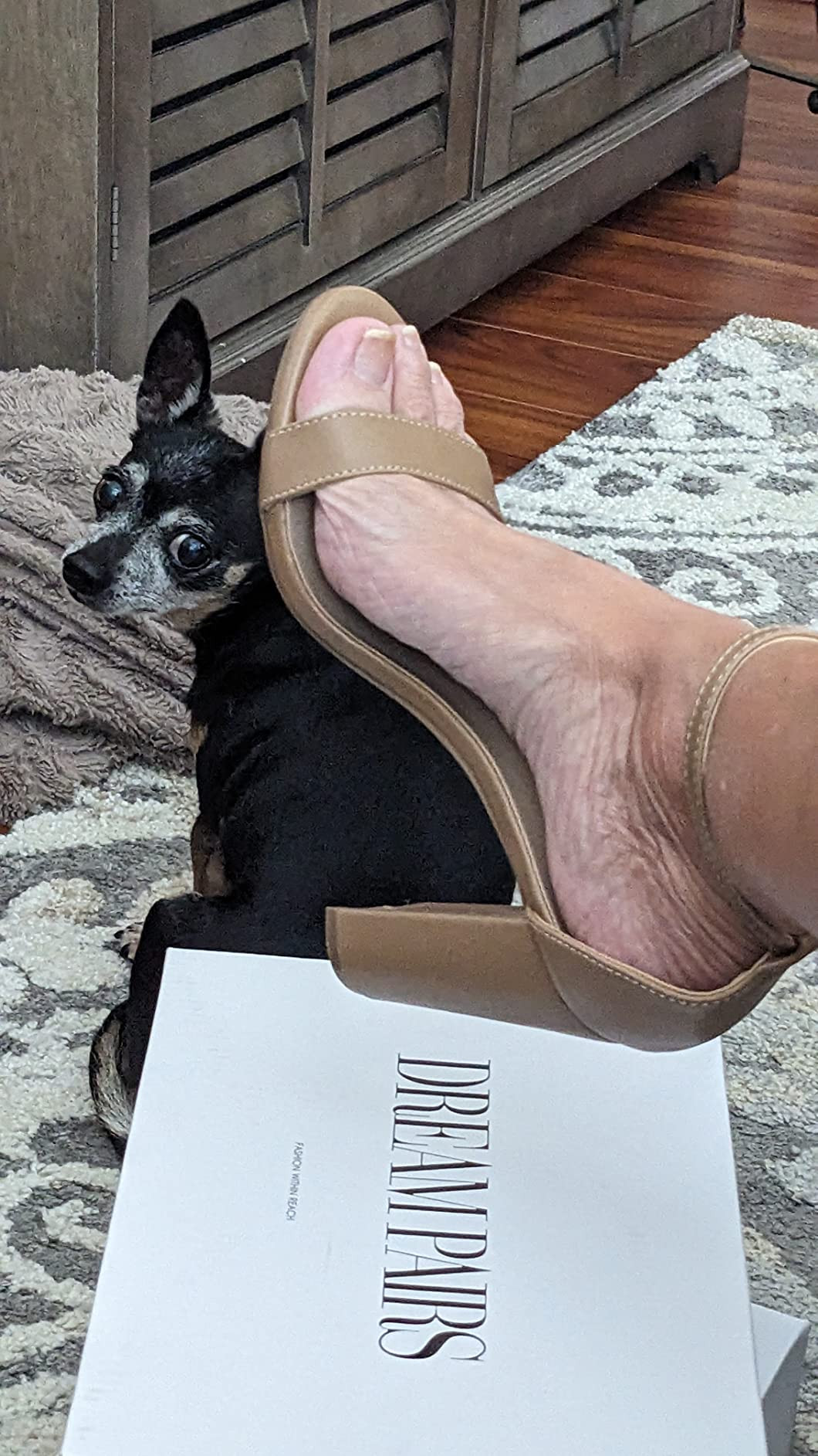 DREAM PAIRS Women's Hi-Chunk High Heel Pump Sandals | Amazon (US)
