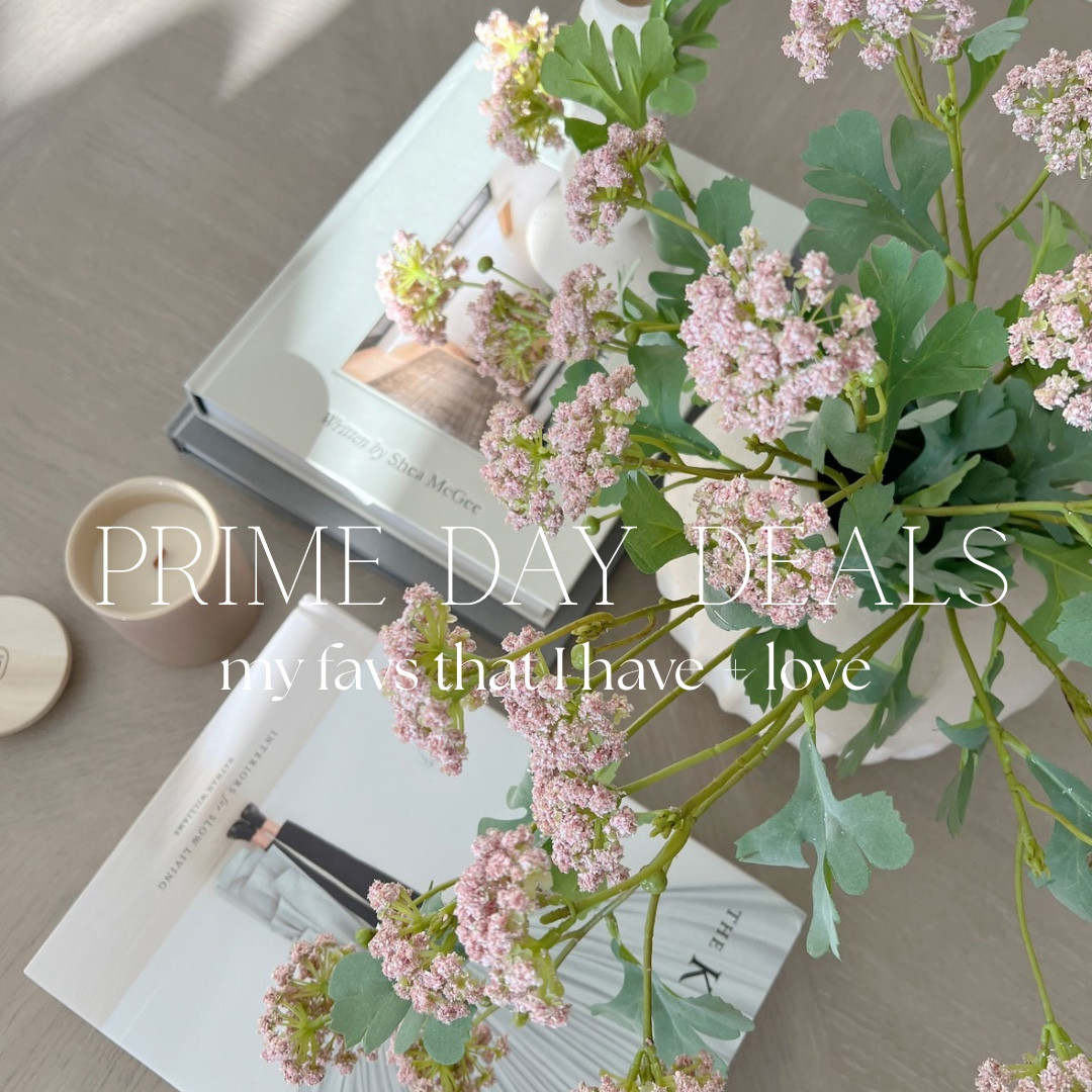 Prime Day Deals - my favs that I have + love 



Sunnies, eye serum, olive tree, wavy phone case, drawer organization, sheet organizers, bathroom storage, battery operated wall sconce, one pice jumpsuit, slippers 


#amazonfinds #amazonmusthaves #primeday2025 #primedaydeals 

#LTKSaleAlert #LTKHome #LTKBeauty