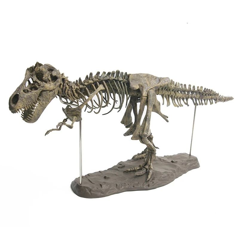 15.55€ 40% de réduction|Modèle de dinosaure 3D à monter soi même, jouet intéressant éduca... | Aliexpress EU