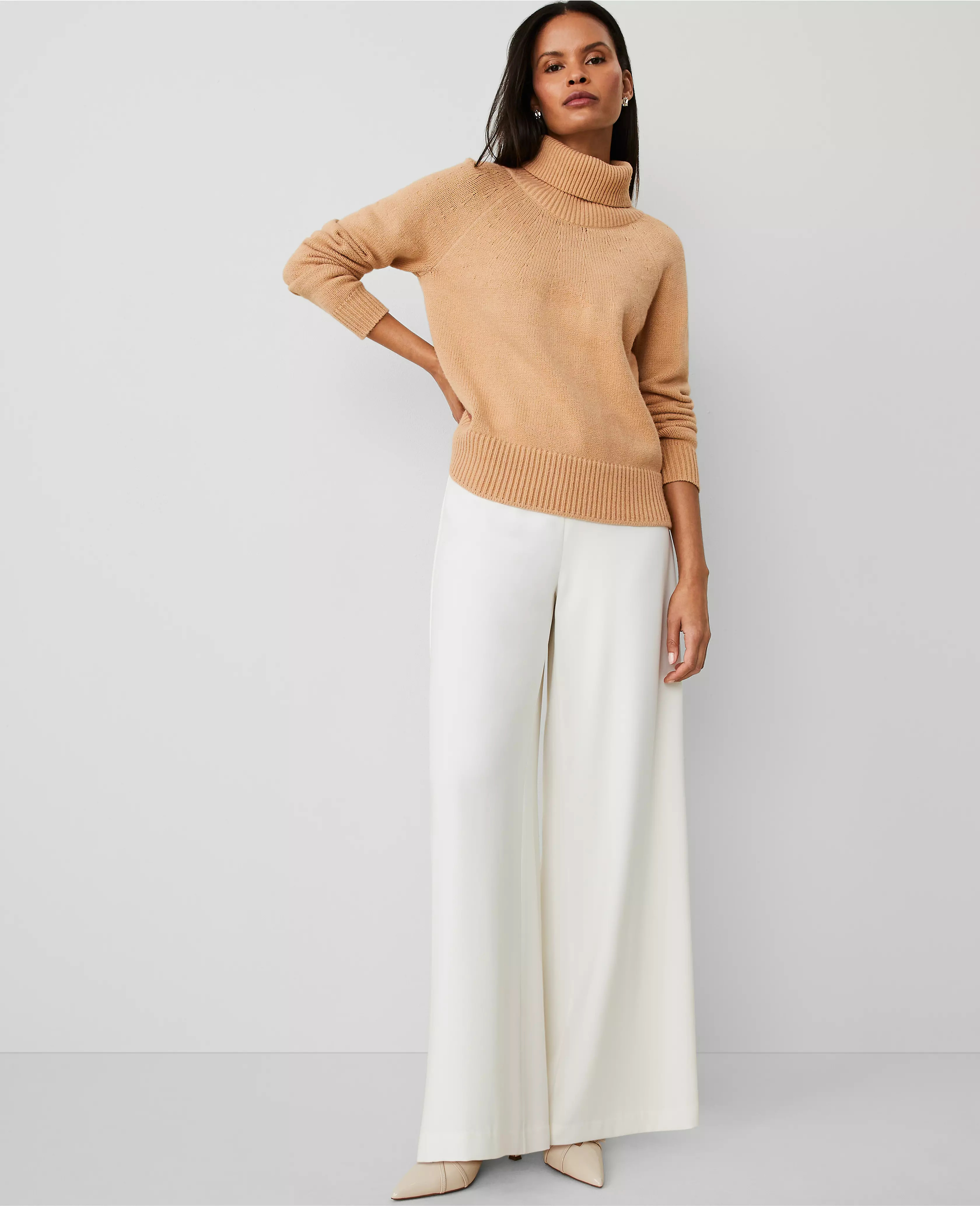 The Dramatic Wide-Leg Crepe Pant | Ann Taylor (US)