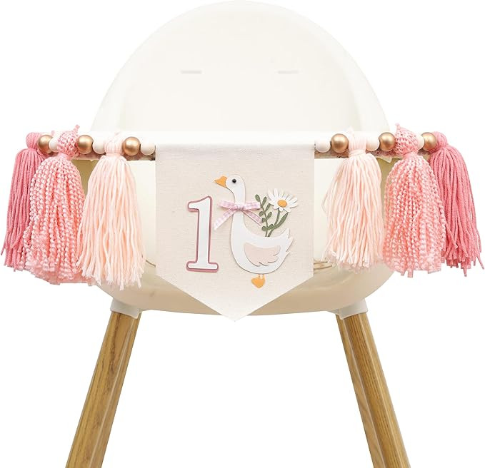 Goose 1st Birthday High Chair Banner - One Silly Goose Decorations, Flower Lawn Party Photo Props... | Amazon (US)
