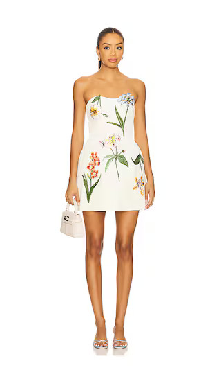 Rosario Velvet Mini Dress | Revolve Clothing (Global)