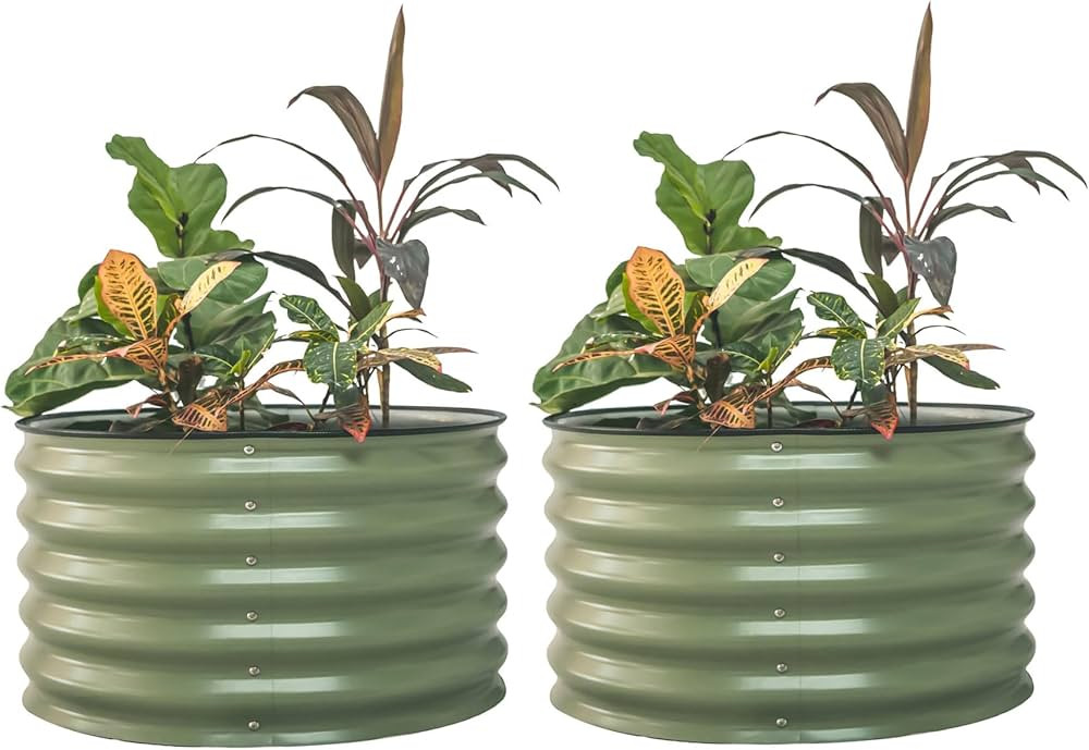 17" Tall Berry Garden Bed 30" Wide - Twin Pack, Olive Green | Amazon (US)