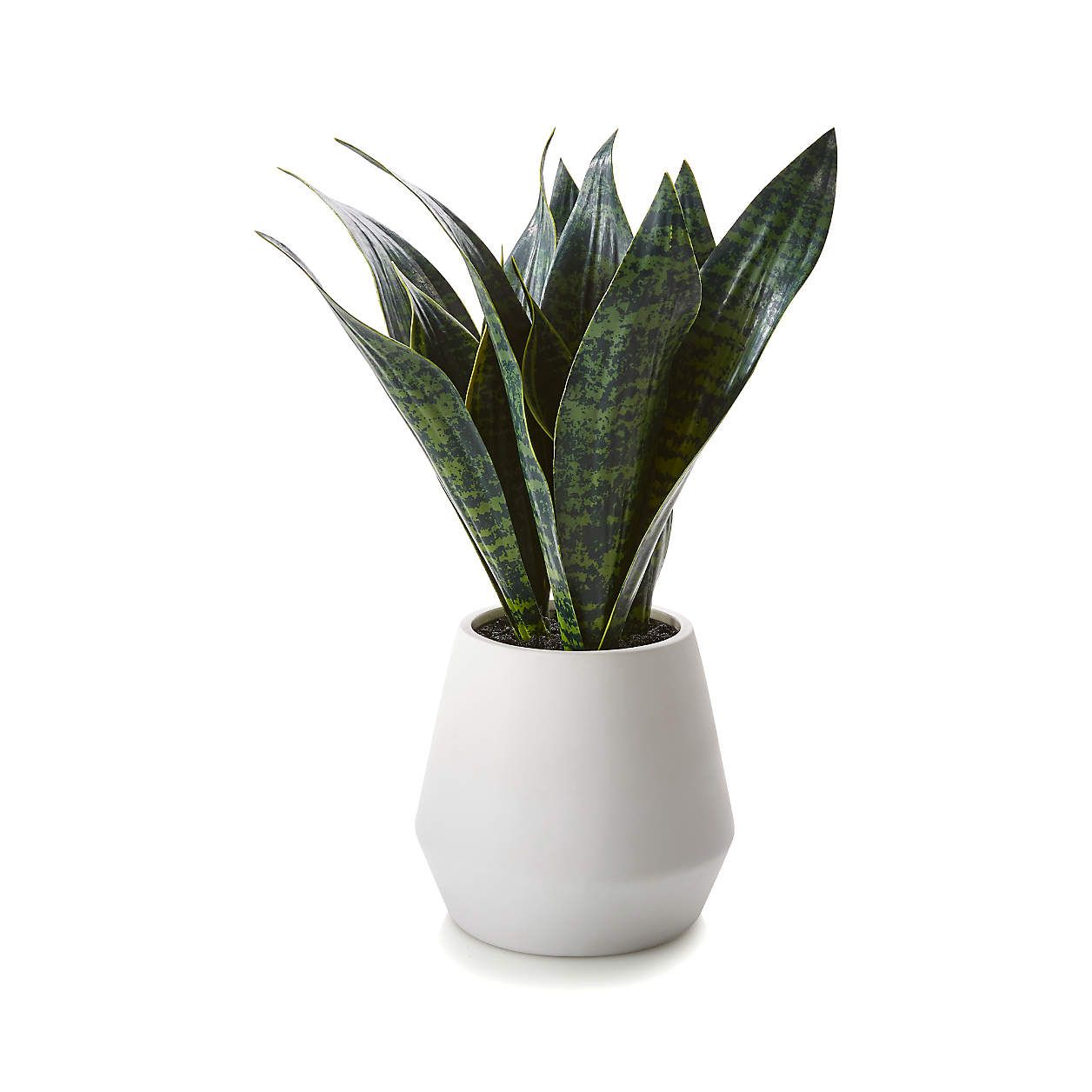 Artificial Snake Plant in Pot + Reviews | Crate and Barrel | Crate & Barrel