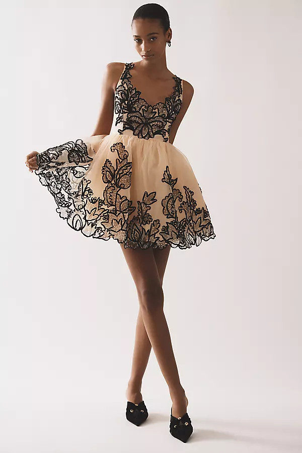 Maeve Sleeveless V-Neck Lace Fit & Flare Mini Dress | Anthropologie (US)