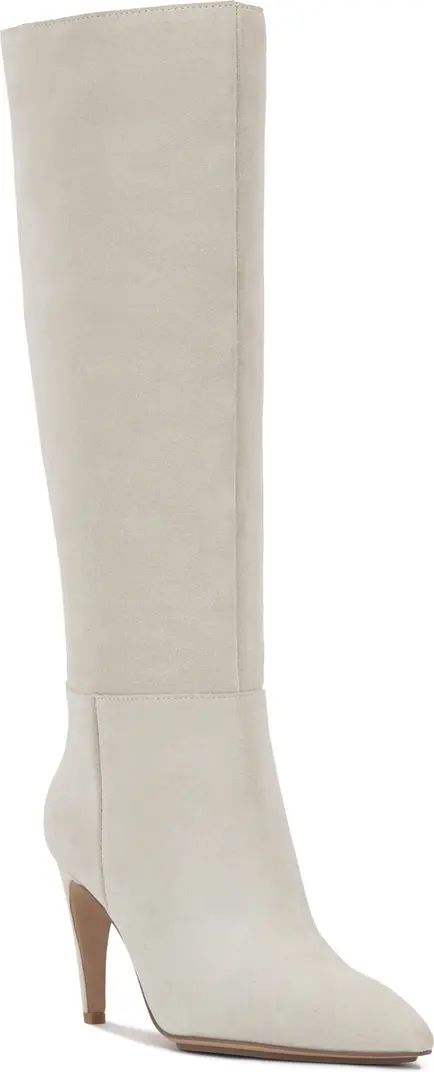 Brigitte Pointed Toe Knee High Boot (Women) | Nordstrom