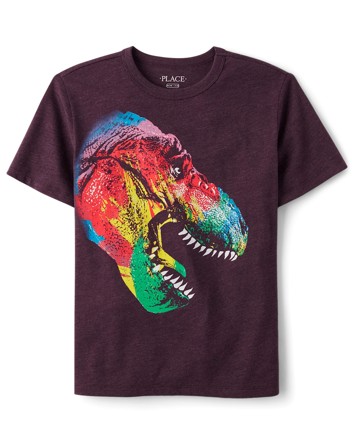 Boys Rainbow Dino Graphic Tee - purple | The Children's Place