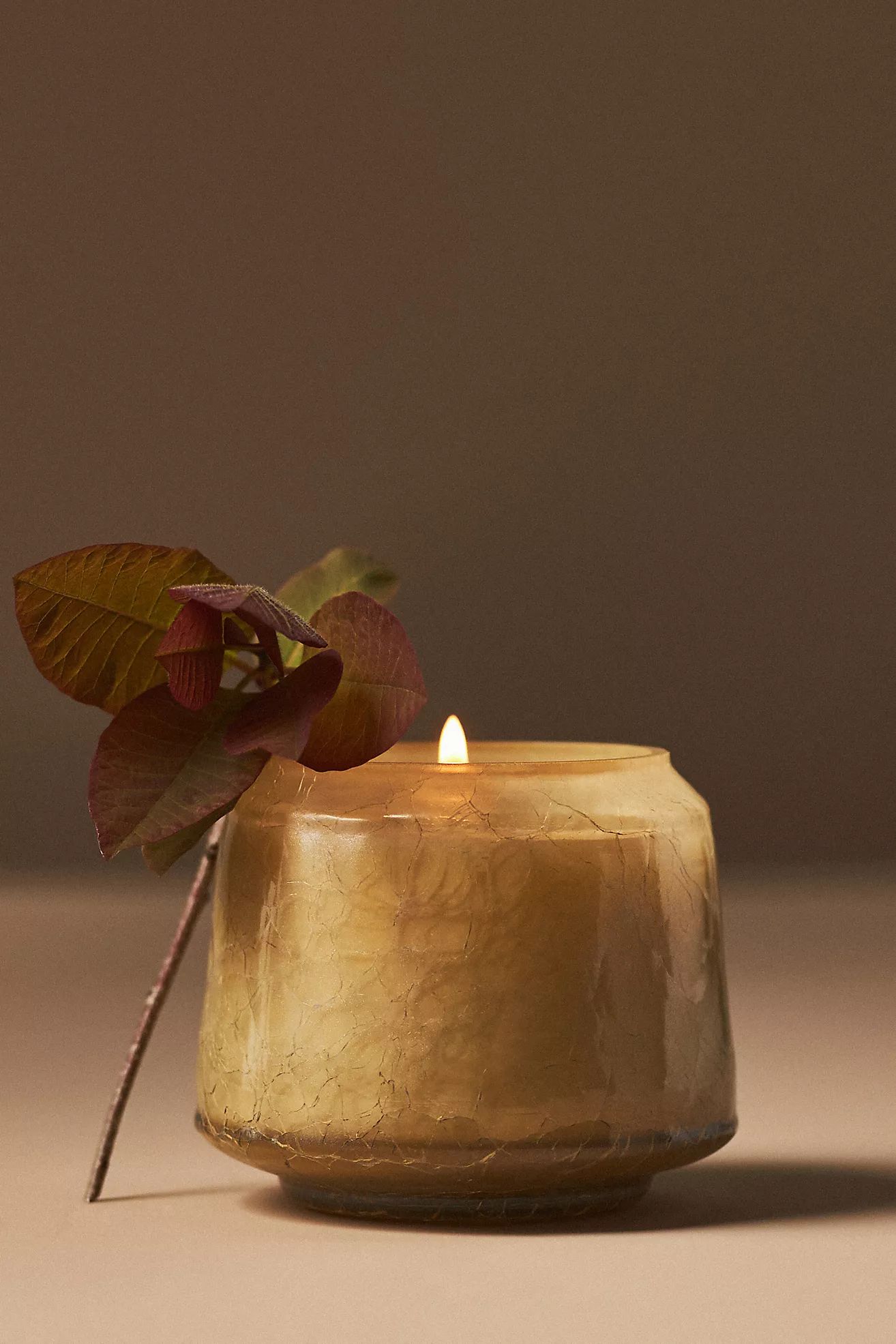 By Anthropologie Pumpkin & Sweet Vanilla Glass Jar Candle | Anthropologie (US)