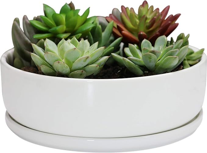 SQOWL 8 inch White Round Ceramic Succulent Planter Pot Modern Flower Cactus herb Big Planter with... | Amazon (CA)