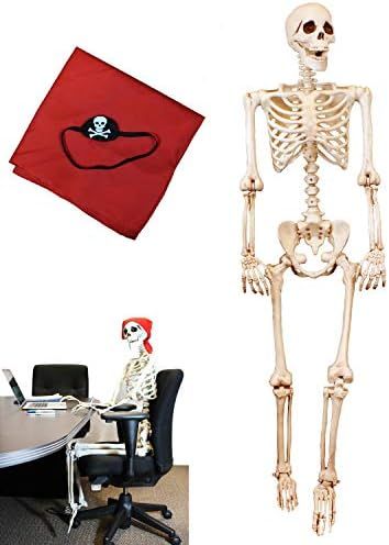 5 ft Pose-N-Stay Life Size Skeleton Full Body Realistic Human Bones with Posable Joints for Hallo... | Amazon (US)