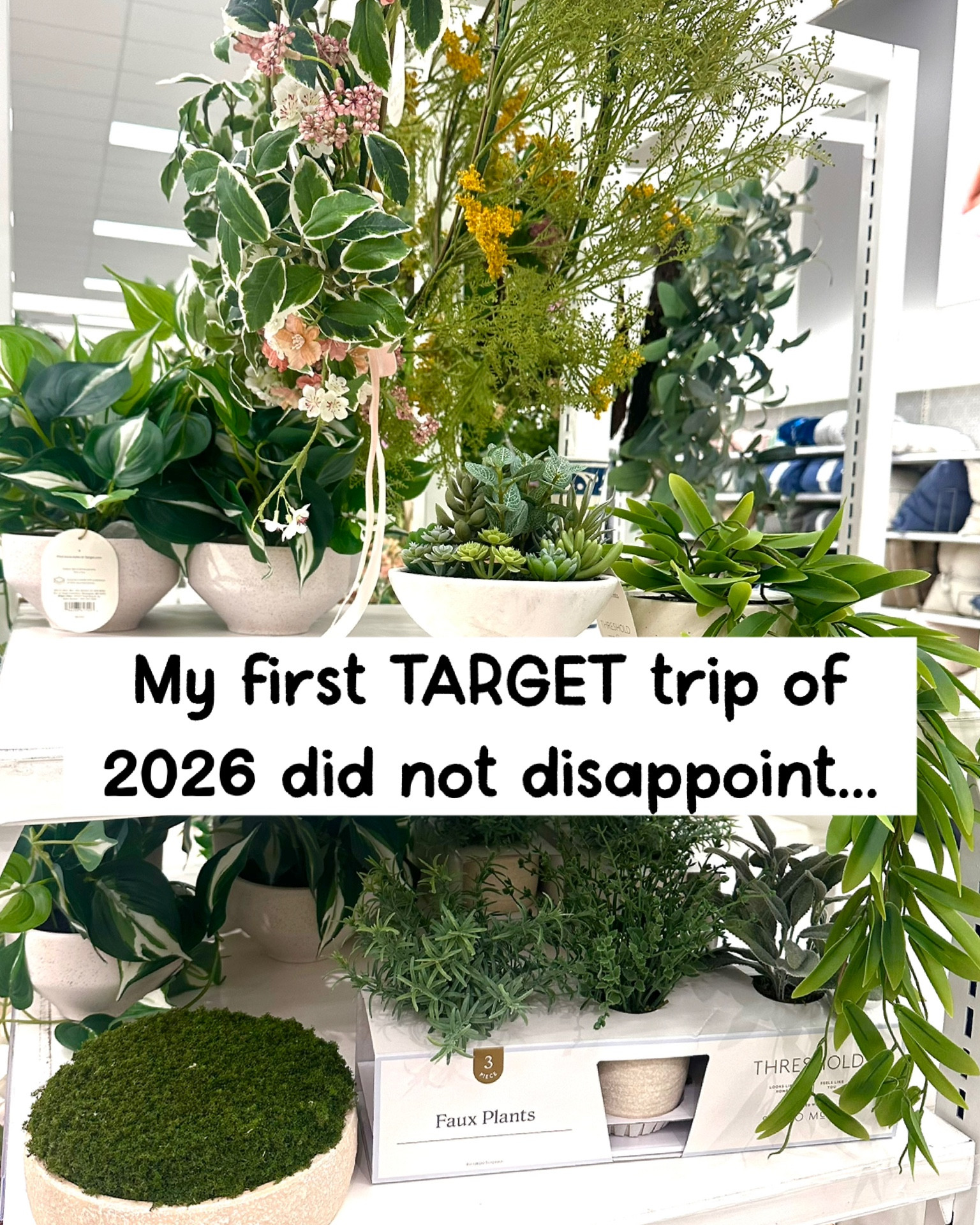 My first TARGET trip of 2026 did not disappoint! I linked all my finds here! 
.


#LTKHome #LTKActive #LTKSeasonal