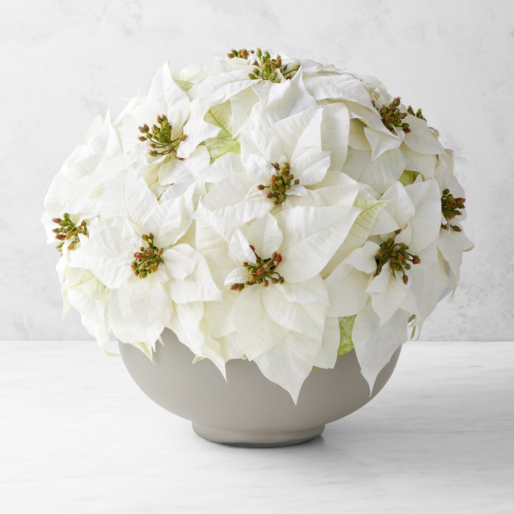 Jeff Leatham x Williams Sonoma Faux Holiday White Poinsettia | Williams-Sonoma
