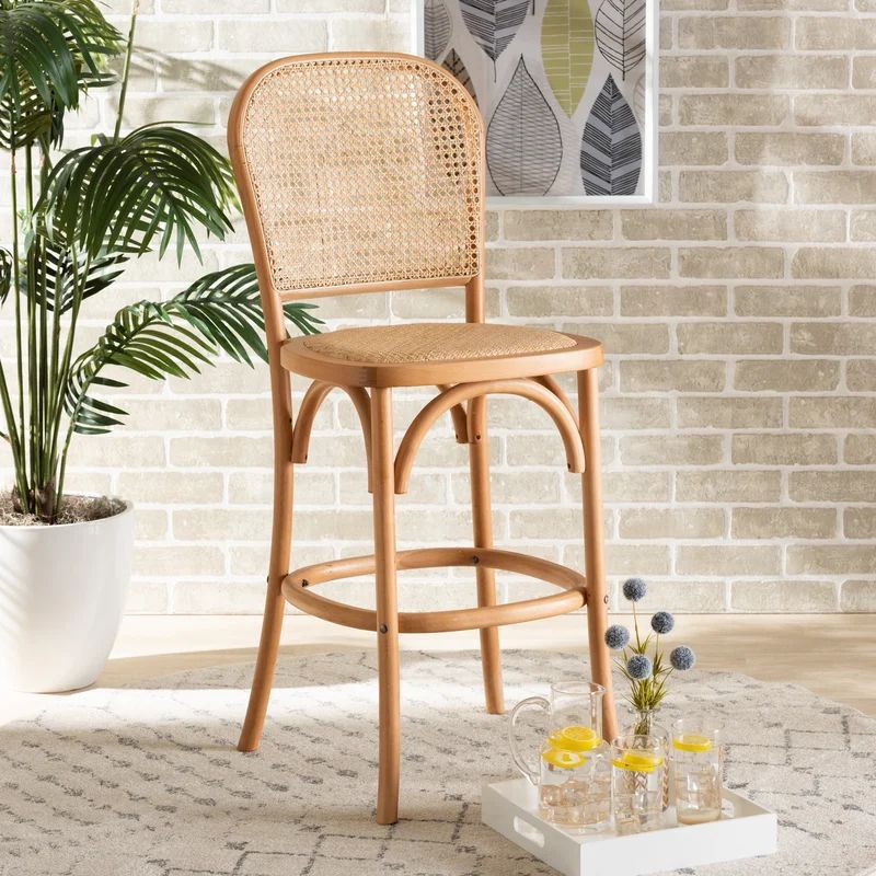 Siems Mid-Century Modern Brown Woven Rattan And Black Wood Cane Counter Stool | Wayfair North America