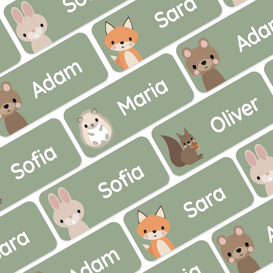 Teddylabels - 120 Personalized Name Labels (1.2” x 0.5”) to use on Clothes and Gear. Waterpro... | Amazon (US)