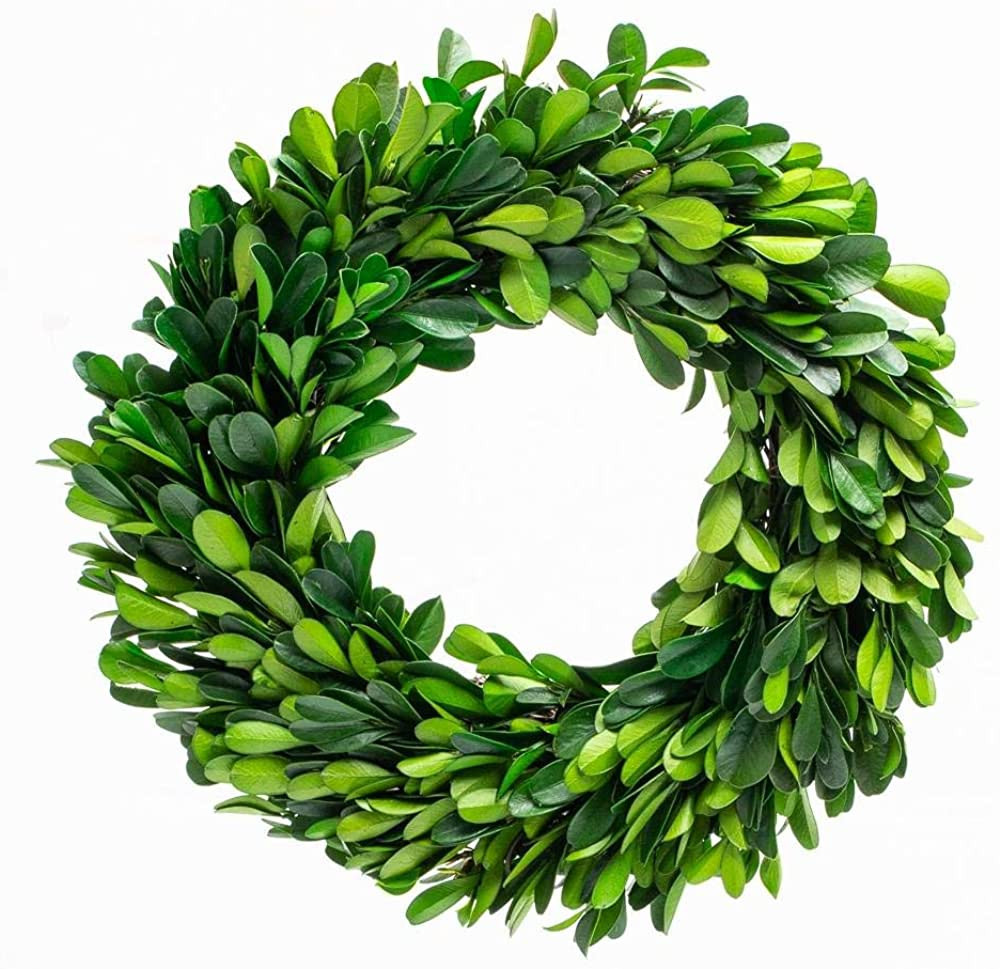 Boxwood Wreath 10 inch Preserved Nature Boxwood Wreath Home Decor Stay Fresh for Years Rustic Far... | Amazon (US)