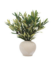 18in Olive Branches In Ceramic Pot | TJ Maxx