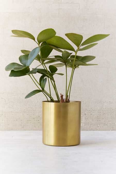 Mod Metal Planter | Urban Outfitters US