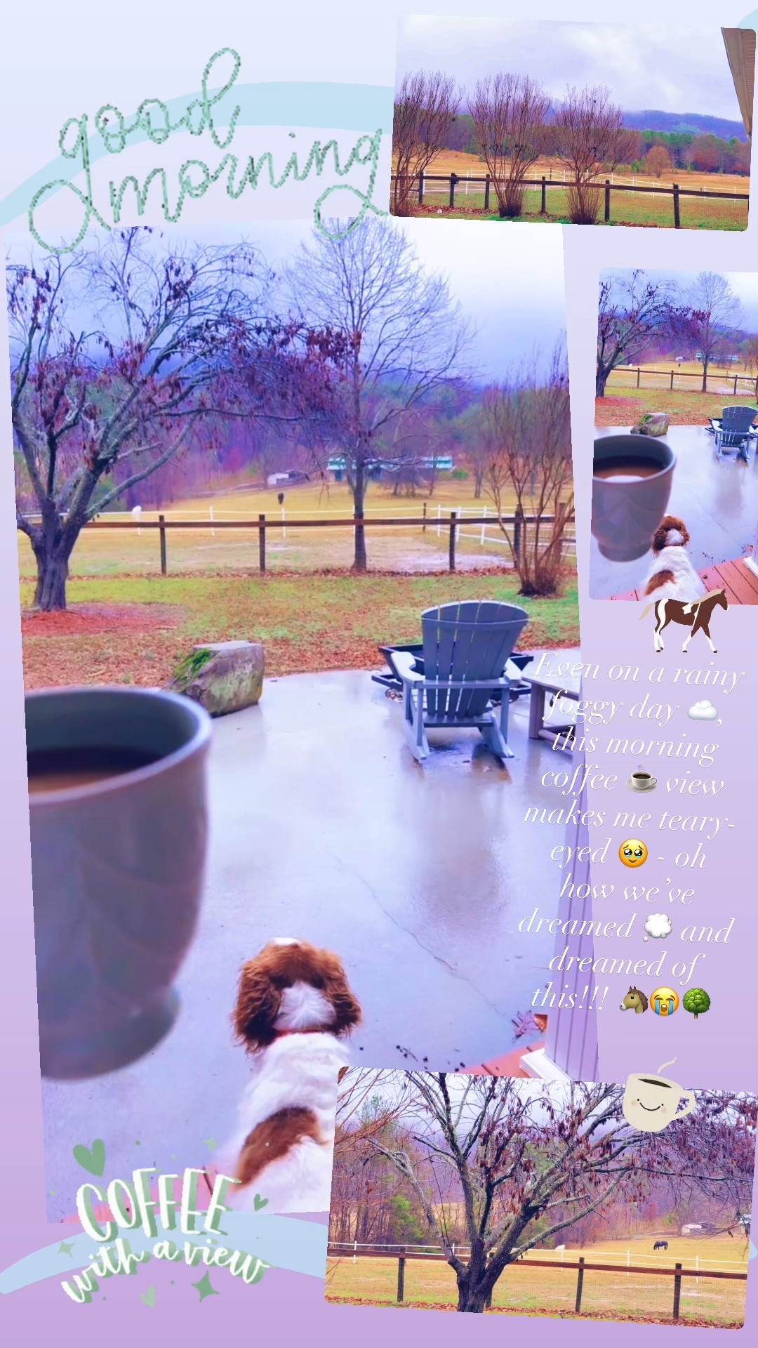 Even on a rainy foggy day ☁️, this morning coffee ☕️ view makes me teary-eyed 🥹 - oh how we’ve dreamed 💭 and dreamed of this!!! 🐴😭🌳