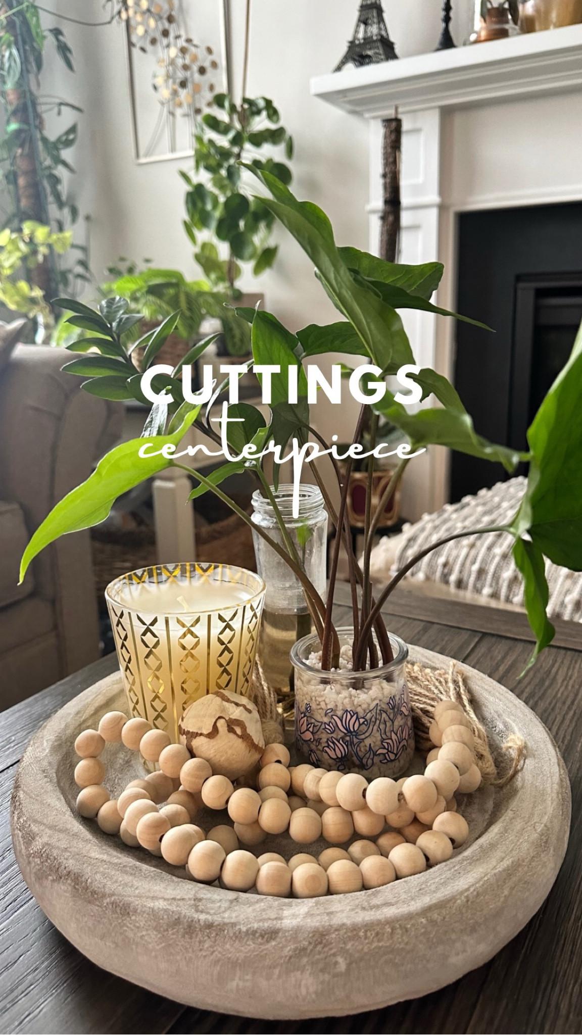 Unlock the Secret: Elevate Your Coffee Table with Propagation Cuttings as Stunning Centerpieces! 


#LTKhome #LTKstyletip #LTKSeasonal