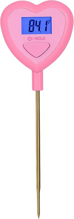 Paris Hilton Digital Heart Shaped Thermometer for Cooking, Baking and Grilling, Instant Read in C... | Amazon (US)