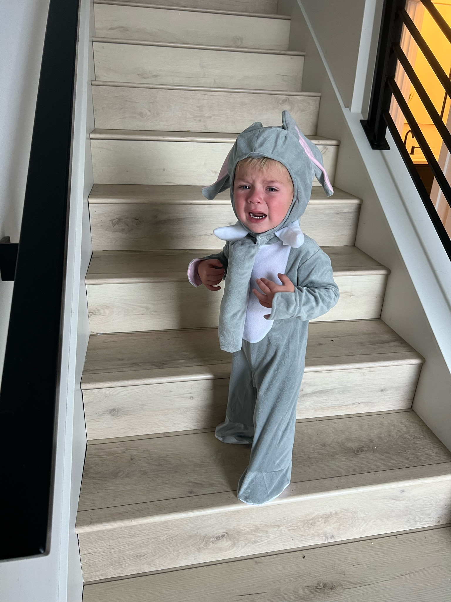 The cutest sad elephant 🐘 

#LTKHalloween #LTKBaby #LTKKids